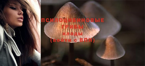 mix Аркадак